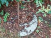 Bild 22