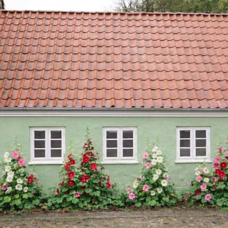 Ferienhaus - 6 Personen -  - Grønnegade - 6950 - Ringköbing