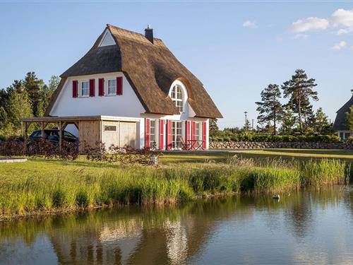 Feriehus - 5 personer -  - Am Schwanenschlage - 18356 - Fuhlendorf