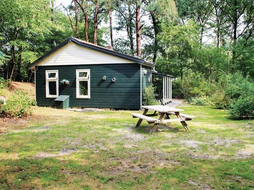 Holiday Home/Apartment - 4 persons -  - Marsdijk - 7736 PL - Beerze