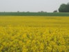 Bild 40 - Ude