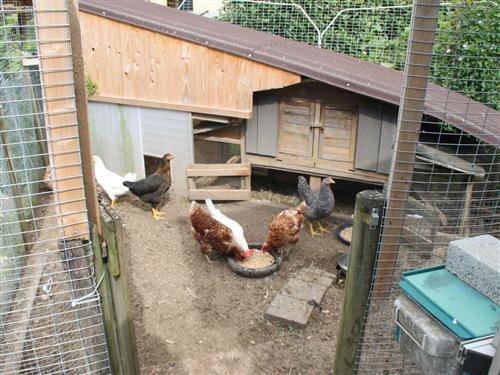 Ferielejlighed - 6 personer -  - Almannenstraße - 77977 - Rust