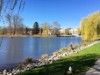 Bild 38
