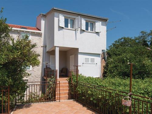 Holiday home - 10 persons -  - Put Stankovici - Peljesac-Orebic - 20250 - Orebic