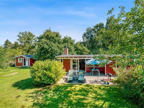 Ferienhaus - 6 Personen -  - Æblerosevej - Ulvshale - 4780 - Stege