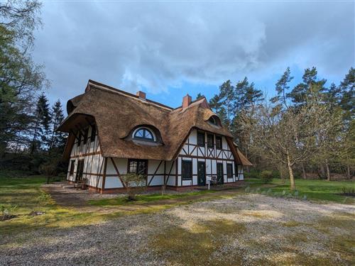 Sommerhus - 4 personer -  - Rosengang - 18375 - Born