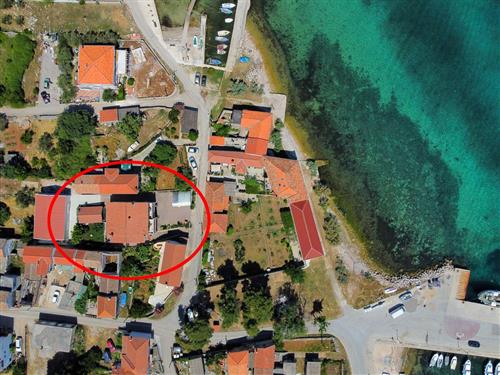 Holiday apartment - 4 persons -  - Put Vortica - 23262 - Pasman
