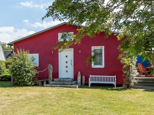 Holiday home - 4 persons -  - Pappelallee - 18347 - Ostseebad Ahrenshoop