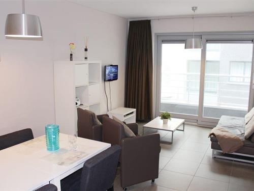 Holiday apartment - 4 persons -  - Raversijdestraat 24 studio - 8400 - Oostende
