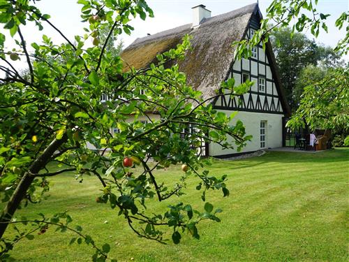 Semesterhus/Semesterlägenhet - 3 personer -  - Schwarbe Siedlung - 18556 - Altenkirchen