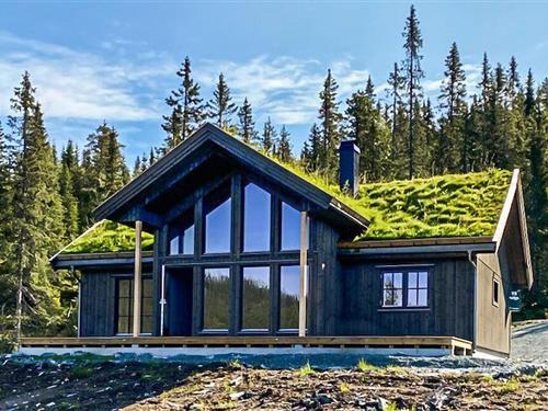 Fritidshus - 8 personer -  - Vaddemovegen - Øyfjell/Vinje I Telemark - 3890 - Vinje