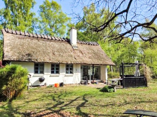 Sommerhus - 6 personer -  - Slåenvej - Asserbo - 3300 - Frederiksværk