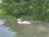 Bild 29