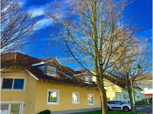 Feriehus - 2 personer -  - 53501 - Grafschaft