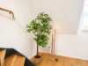 Billede 26