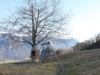Bilde 29 - Ude