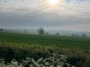Image 33