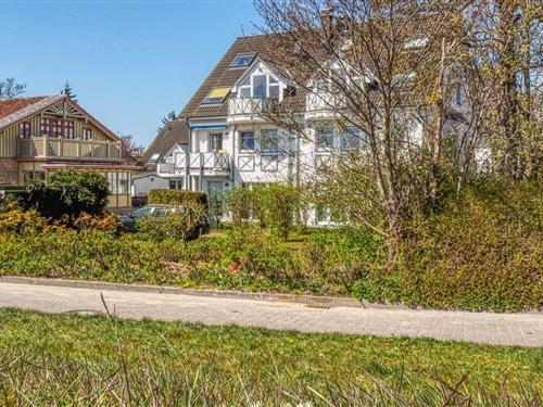 Ferielejlighed - 3 personer -  - Stromstraße - 18374 - Zingst