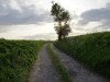 Bild 22