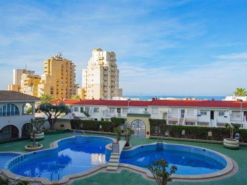 Holiday apartment - 5 persons -  - 03188 - La Mata