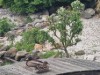 Bild 19