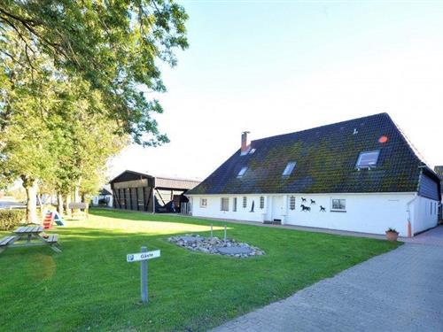 Holiday Home/Apartment - 3 persons -  - Böhler Weg - 25826 - St. Peter-Ording