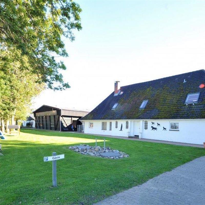 Ferielejlighed - 3 personer -  - Böhler Weg - 25826 - St. Peter-Ording