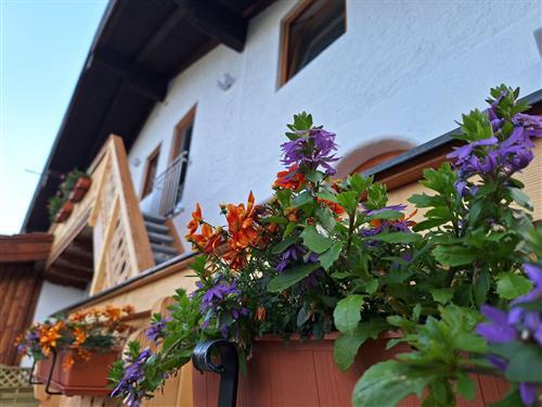 Holiday Home/Apartment - 3 persons -  - Hammerstielstraße - 83471 - Schönau Am Königssee