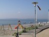 Bild 36
