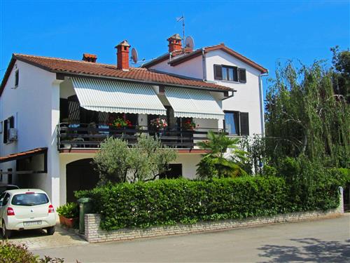 Holiday apartment - 2 persons -  - Ive Andrica - 52440 - Porec