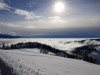 Bild 95