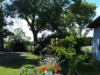 Image 23