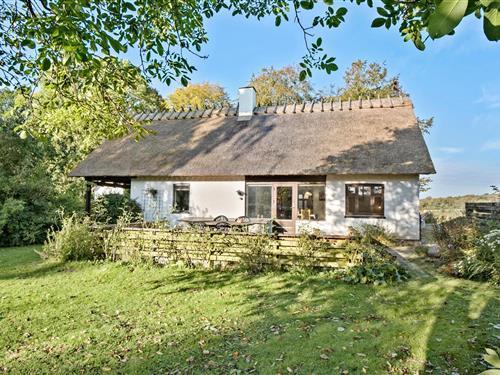 Sommerhus - 8 personer -  - Skovkrogen - Helnæs Bugten - 5683 - Hårby