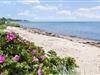 Bild 27 - Aussen