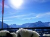 Bild 25