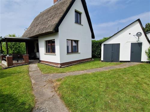 Ferielejlighed - 4 personer -  - Dranske Hof - 18556 - Dranske / Dranske-Hof