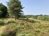Billede 46 - Område