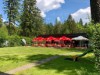 Billede 12