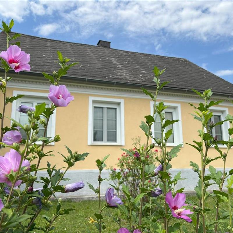 Ferielejlighed - 4 personer -  - Bründlgasse - 2123 - Hautzendorf