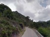 Billede 39