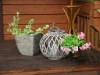 Bild 36 - Inde