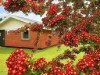 Bild 36 - Ude