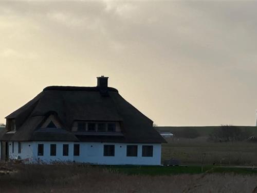 Ferieleilighet - 4 personer -  - 25881 - Westerhever