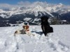 Bild 33