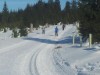 Bild 8 - Ude