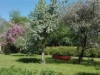 Bild 22