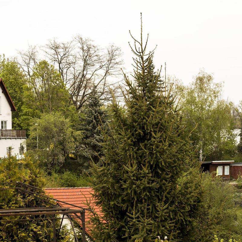 Ferielejlighed - 5 personer -  - Jüdenbergstr. 14 a - 01662 - Meißen