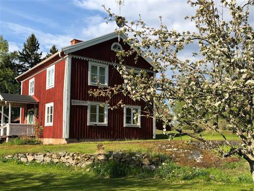  - 6 Personen -  - Bo Amsterdam - 69793 - Hjortkvarn