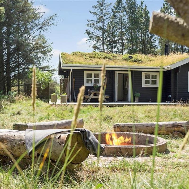 Ferienhaus - 6 Personen -  - Bregnehøjvej - 9492 - Blokhus