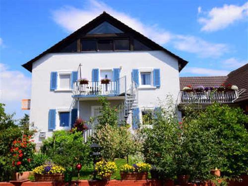 Ferienhaus - 10 Personen -  - Wittenweierstraße - 77966 - Kappel-Grafenhausen